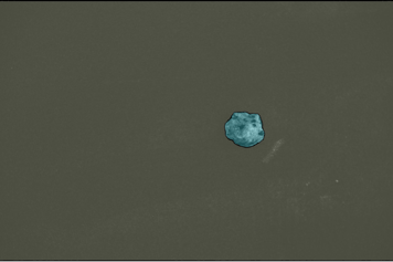 智能分割后 智能分割后